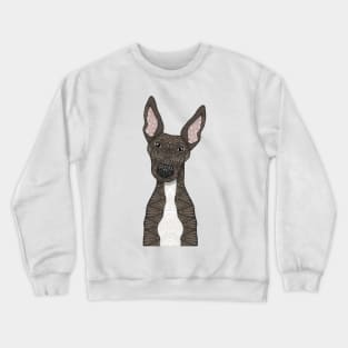 Cute brindle and white greyhound Crewneck Sweatshirt